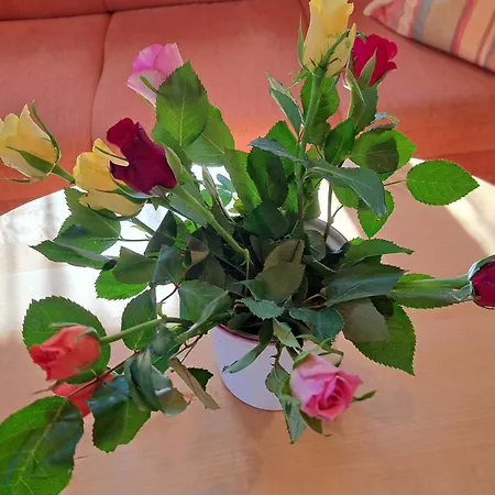 Gernkogel By Interhome Feriehus