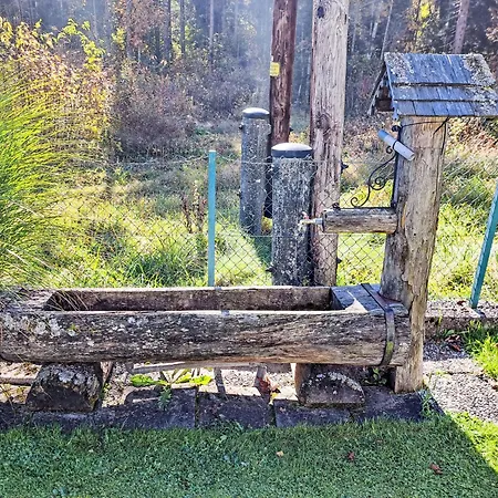 Gernkogel By Interhome Wald im Pinzgau